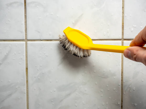 Office Mold Removal Services in Gastonville, PA