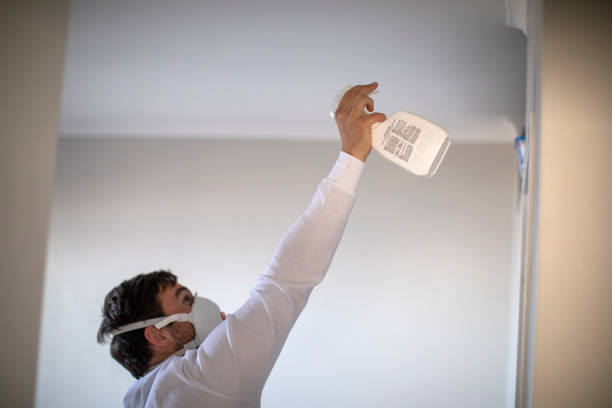 Office Mold Removal Services in Gastonville, PA