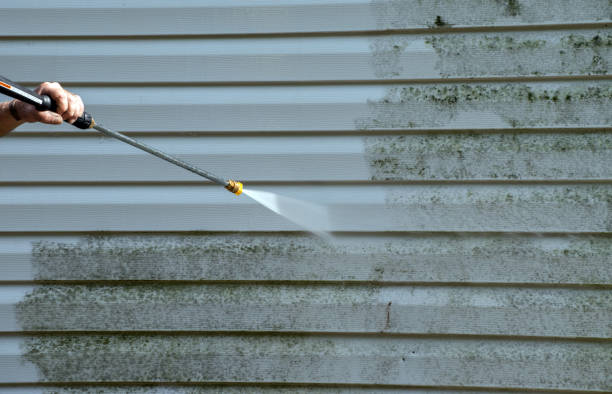 Best Commercial Mold Removal  in Gastonville, PA