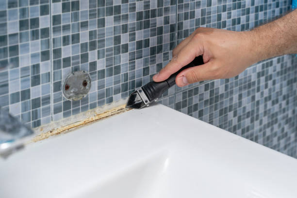 Best Mold Damage Repair  in Gastonville, PA