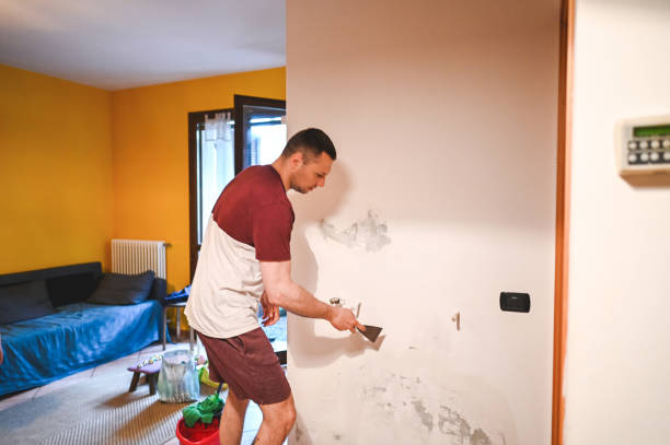 Mold Testing and Removal in Gastonville, PA